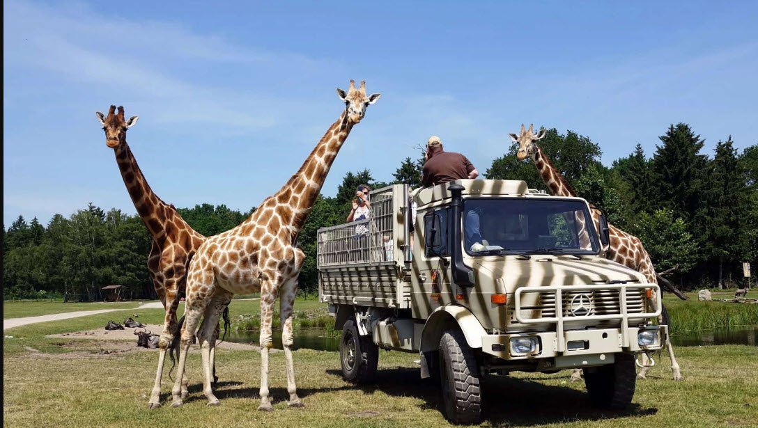 Serengeti Park Hodenhagen, Germany